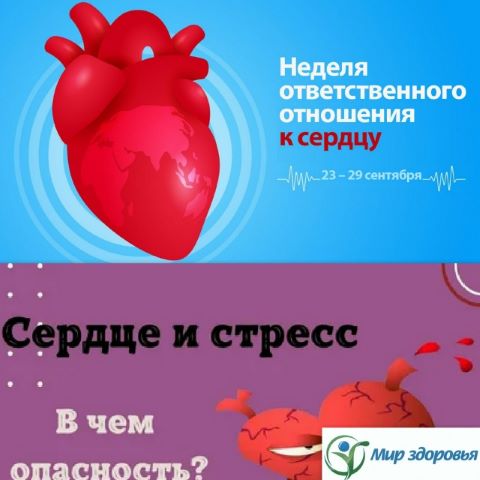 Фотография новости
