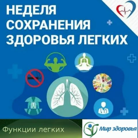 Фотография новости