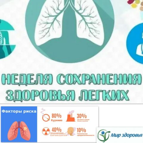 Фотография новости