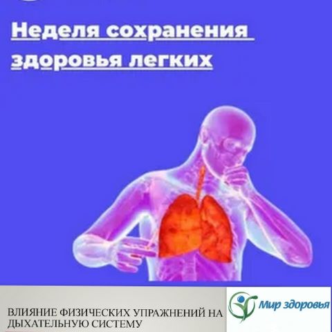 Фотография новости