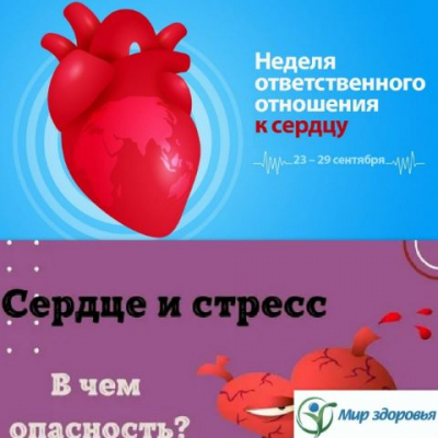 Фотография новости
