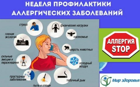 Фотография новости