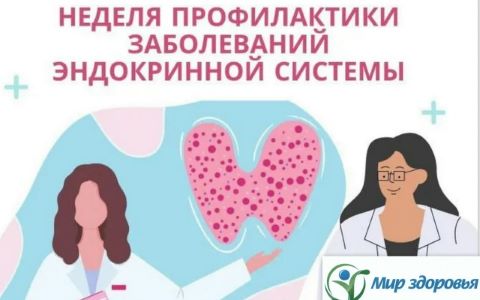 Фотография новости