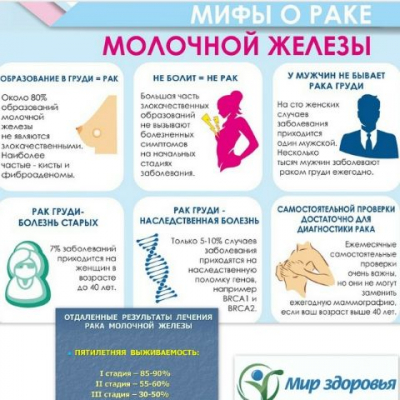 Фотография новости