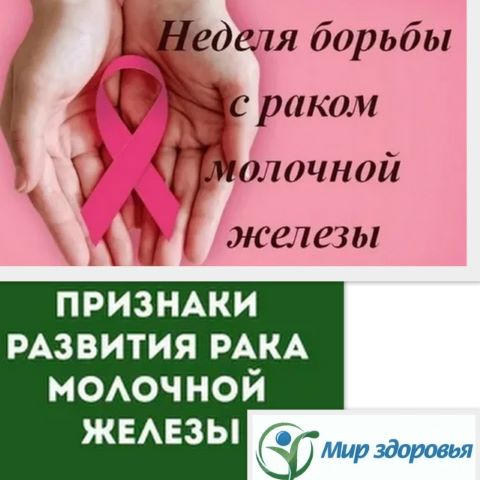 Фотография новости