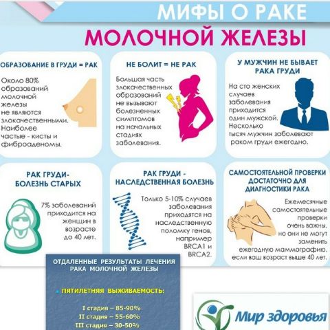 Фотография новости