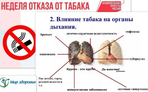 Фотография новости