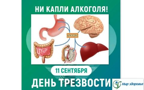 Фотография новости